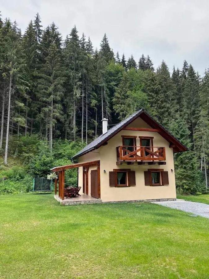 Chata Mosnica Lazisko Exteriör bild