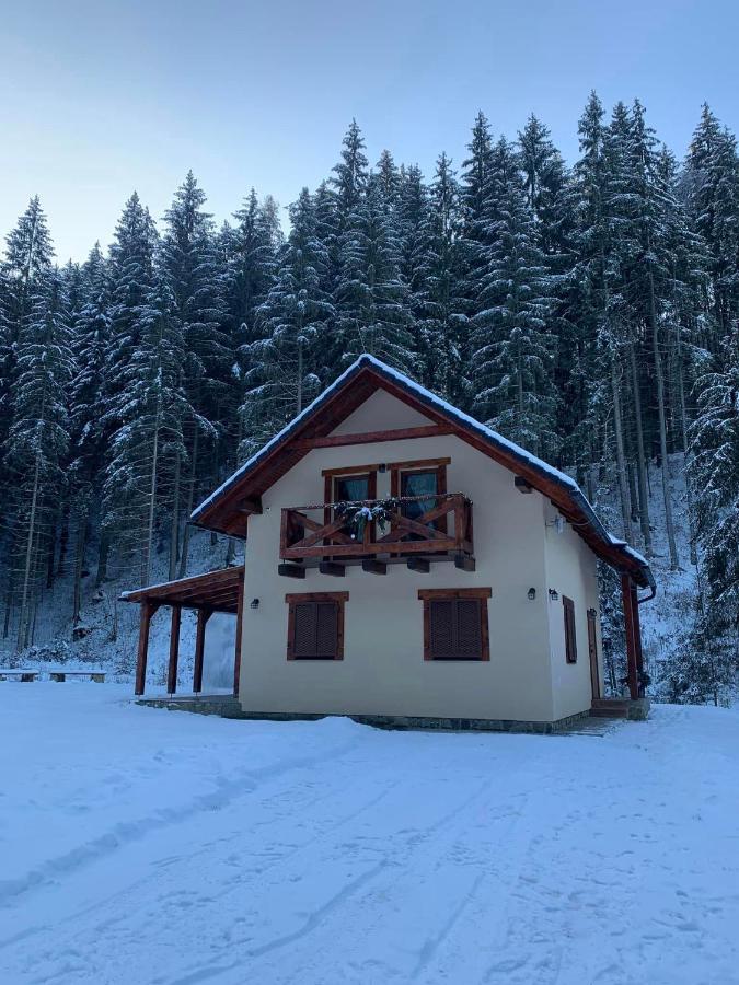 Chata Mosnica Lazisko Exteriör bild